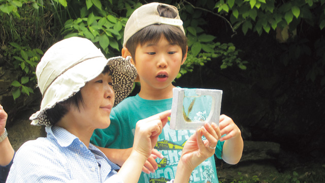 ドジョウのヒゲは何本 シティライフ株式会社 千葉県市原市で情報紙発行 印刷全般 広告 ホームページ制作 名入れカレンダー通販 ドジョウのヒゲは何本 シティライフ株式会社 千葉県市原市で情報紙発行 印刷全般 広告 ホームページ制作 名入れカレンダー通販