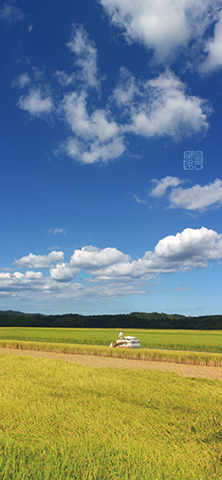 私の写真をきっかけに 皆さんが身近な自然の美しさに目を向けて頂けたら シティライフ株式会社 千葉県市原市で情報紙発行 印刷全般 広告 ホームページ制作 名入れカレンダー通販