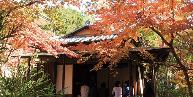 成田山公園紅葉まつり開催 １１月９日 土 ２４日 日 シティライフ株式会社 千葉県市原市で情報紙発行 印刷全般 広告 ホームページ制作 名入れカレンダー通販