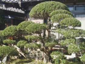 市原市 シティライフ株式会社 千葉県市原市で情報紙発行 印刷全般 広告 ホームページ制作 Part 5 市原市 シティライフ株式会社 千葉県市原市で情報紙発行 印刷全般 広告 ホームページ制作 Part 5