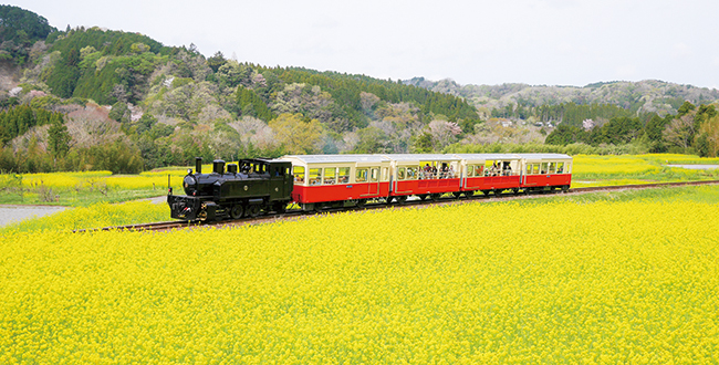 今年は３月１３日 土 より運行開始 トロッコ列車で一足早い房総の春を体感しよう 市原市 シティライフ株式会社 千葉県市原市で情報紙発行 印刷全般 広告 ホームページ制作 名入れカレンダー通販