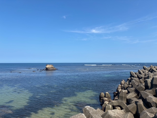 海