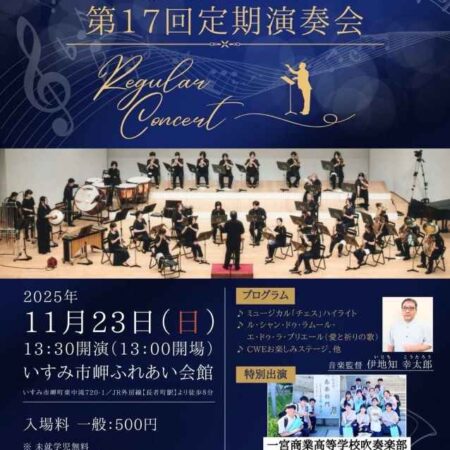 演奏会上級者用17弦一式　メインテナンス済み 演奏会用上質17弦一式 メインテナンス済み 演奏会用上質17弦一式