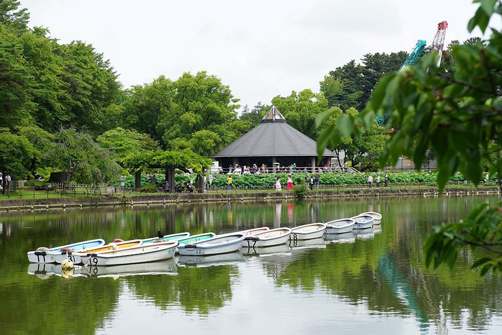 ふるさと点描～千葉公園～ - シティライフ株式会社｜千葉県市原市で
